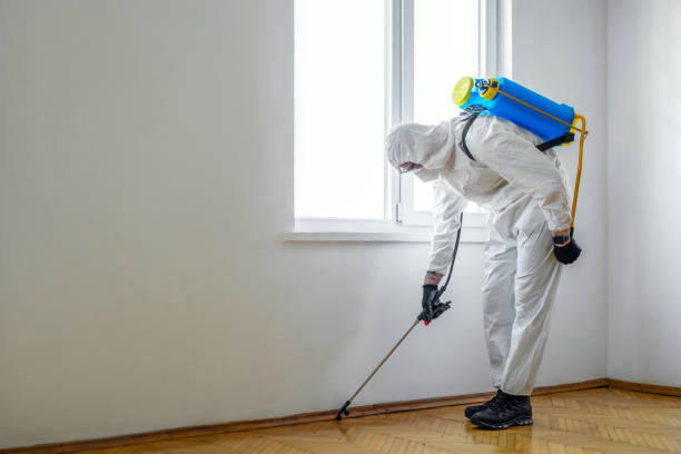 Best Pest Inspection Near Me  in Velda City, MO