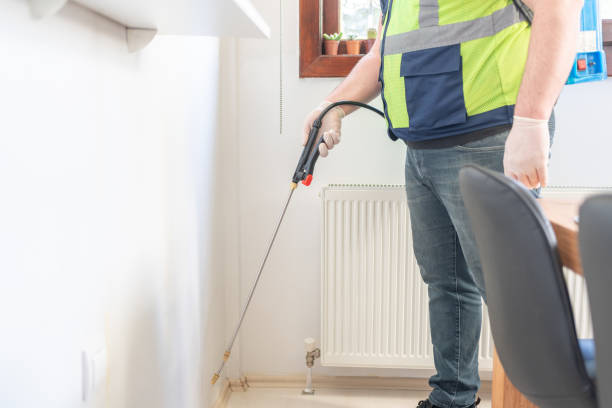 Best Termite Control Services  in Velda City, MO