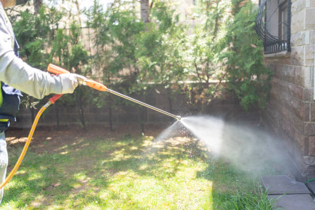 Flea Control Services in Velda City, MO