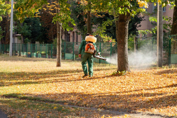 Best Cockroach Control Services  in Velda City, MO