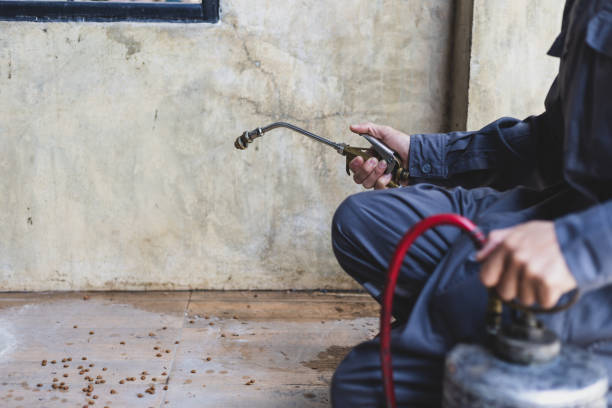 Best Affordable Pest Control Services  in Velda City, MO